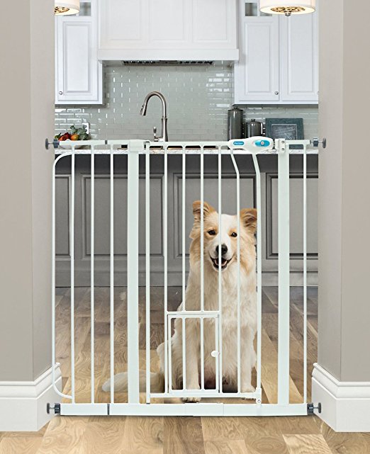 with Small pet Door Carlson Extra Wide Pet Gate 
